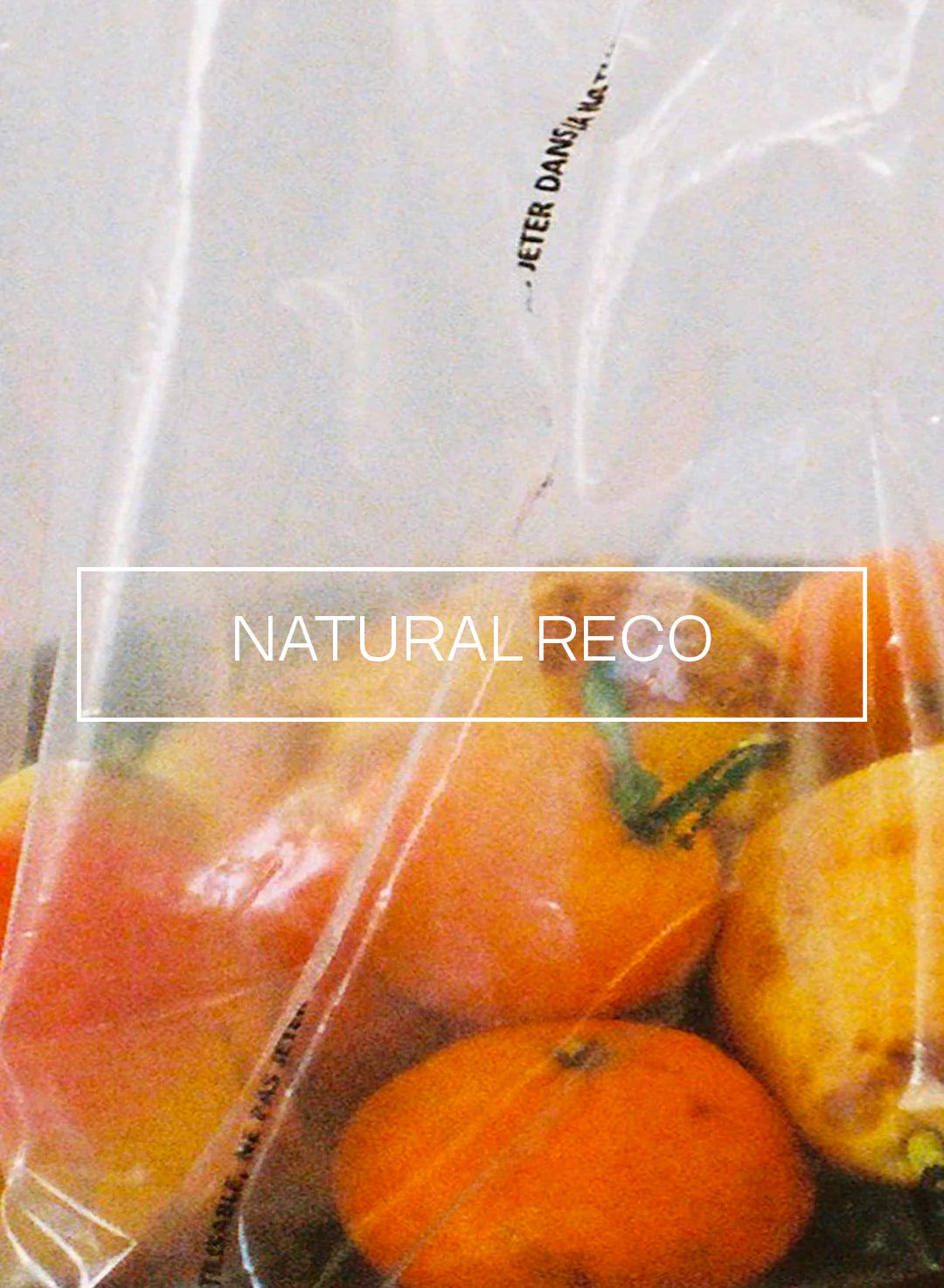 agrumes dans un sac biodégradable